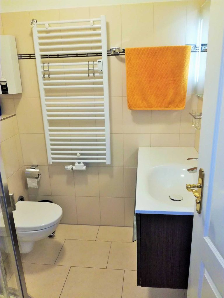 Apartment Marx Willingen shower room